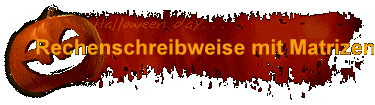 Rechenschreibweise mit Matrizen
